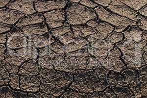 Parched Earth