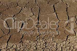 Parched Earth