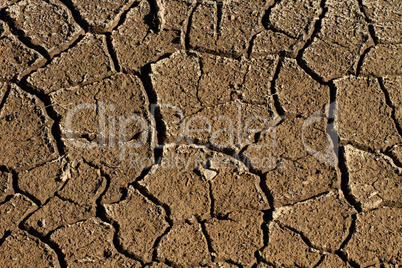 Parched Earth