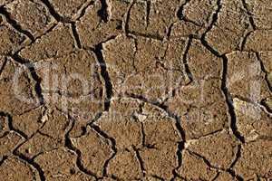 Parched Earth