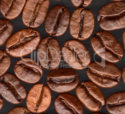 Coffee grains