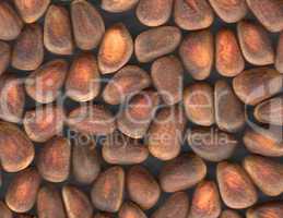 Nuts of Siberian Cedar Pine