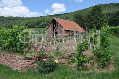 Hütte bei Bürgstadt