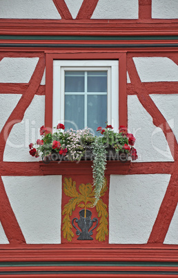 Fenster in Bürgstadt