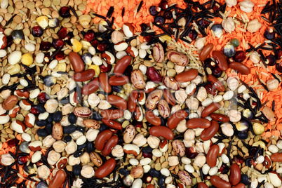 Seeds, Beans, Kernels that are cooking by boiling