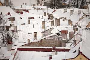 winter roofs
