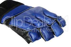Blue boxing-gloves