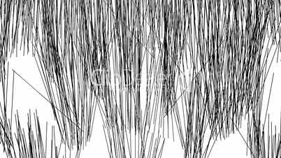 simple abstract background with grass in black and white