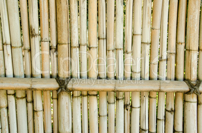 Fence made of bamboo