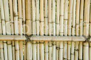 Fence made of bamboo