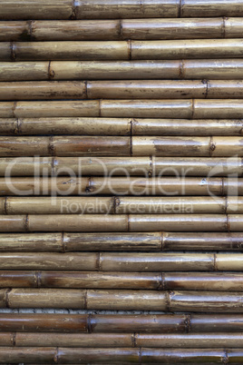 old bamboo background