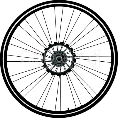 bike wheel isolated on white