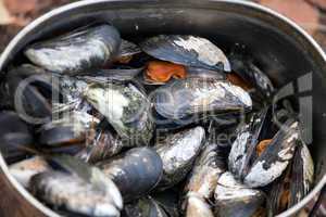 boiled mussels closeup