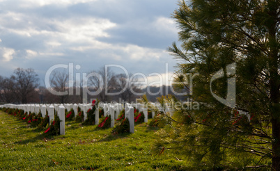 Xmas wreaths in Arlington Cemetery