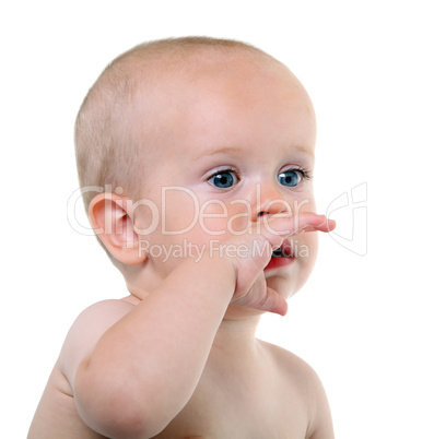 Baby on the white background