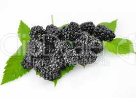 Blackberry