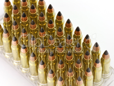 hunting bullets