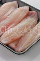 tilapia fillet