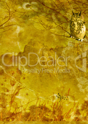 grunge textured background collage