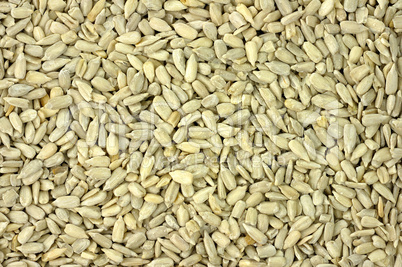 sunflower seeds background