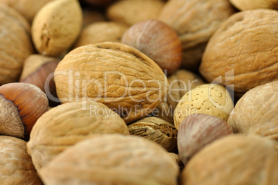 Mixed nuts background