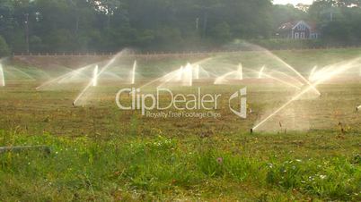 Watering Cranberry Bog; 7