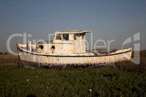 An old boat in ivy with blue skies