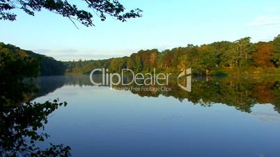 Tranquil Pond Reflection; part 4