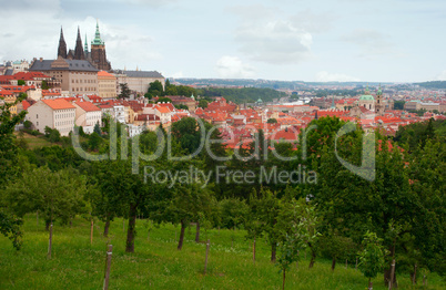 Prague Castle