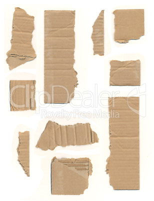 Torn cardboard on a white background