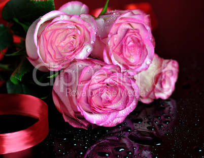 pink roses