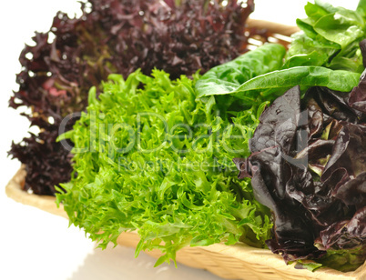 fresh salad leaves assortment