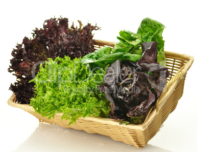 fresh salad leaves assortment