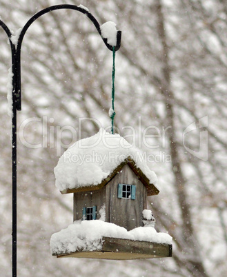 bird feeder in the winter park
