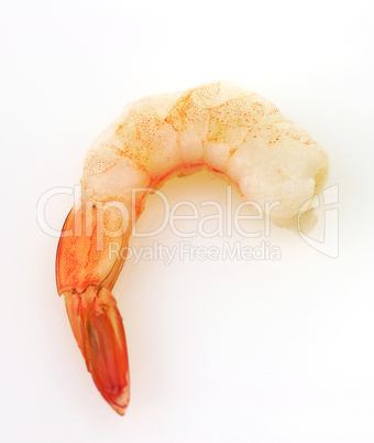 shrimp on a white background