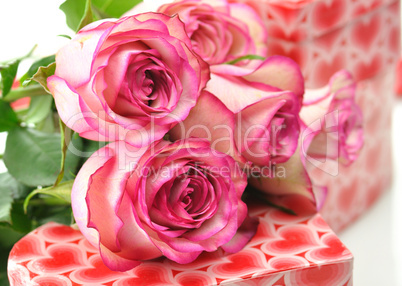 pink roses and gift boxes