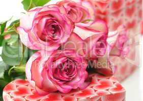 pink roses and gift boxes