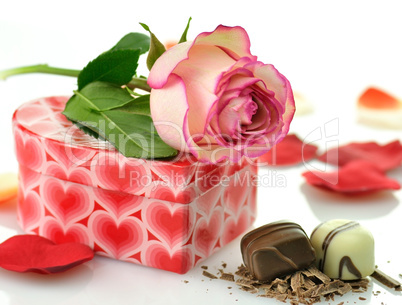 pink rose and gift box