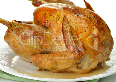 roasted turkey