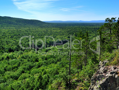 mountain forest