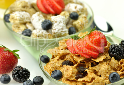 cereal with fruits and berries