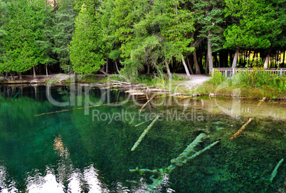 lake in the forest