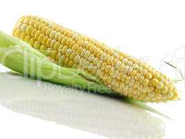 fresh corn