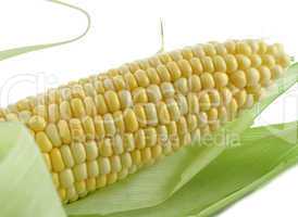 fresh corn