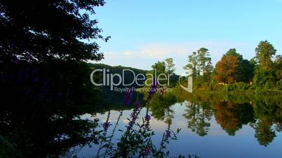 Tranquil Pond Reflection; part 2