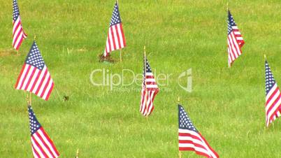 Memorial flags on hillside