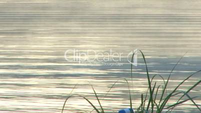 Mist and pond ripples