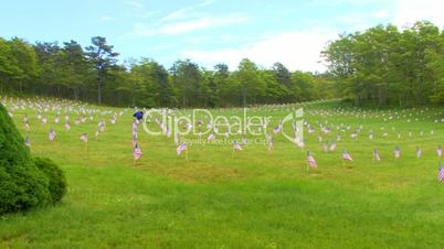 National Cemetery Memorial flags; pan left to right