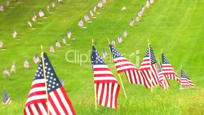 Memorial Flags at National Cemetery; Zoom to Wide