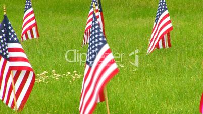 Memorial Flags at National Cemetery; Zoom to Wide 2